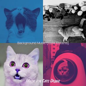 Download track Atmospheric (Music) Music For Cats DeluxeThe Music