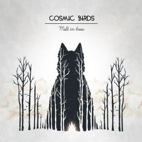 Download track Hikari Cosmic Birds