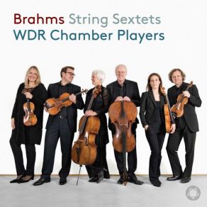 Download track String Sextet No. 1 In B-Flat Major, Op. 18: III. Scherzo. Allegro Molto WDR Symphony Orchestra Cologne Chamber Players