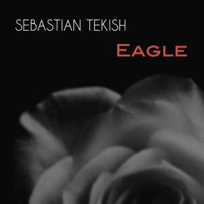 Download track Ethor (Original Mix) Sebastian Tekish