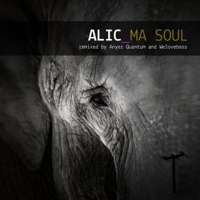 Download track Ma Soul Alic