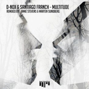 Download track Multitude Audio Junkies Remix Santiago Franch