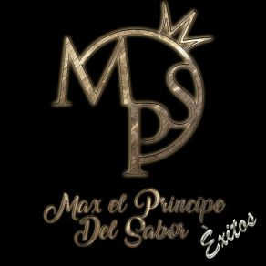 Download track Amo Tus Defectos (Cover) Max El Príncipe Del Sabor