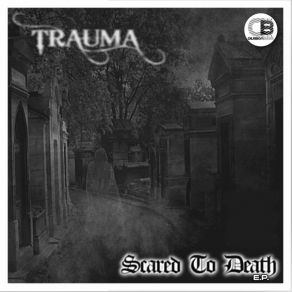 Download track E. V. P Trauma