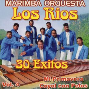 Download track Popurri Chico Che Marimba Orquesta