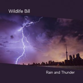 Download track Thunderstorm With Heavy Pouring Rain From Under Overhang Wildlife Bill