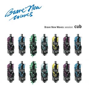 Download track The Day We Met (Live) Cub