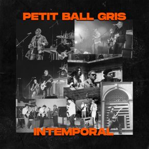 Download track Volar PETIT BALL GRIS