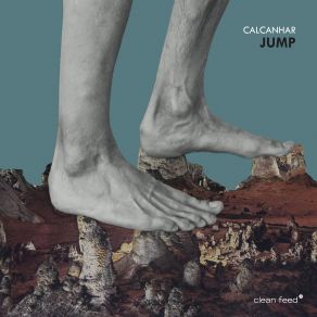 Download track A Sense Of Timing Calcanhar