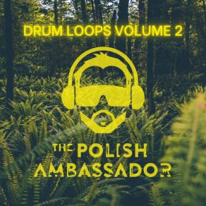 Download track Flesh Prayers Drums The Polish Ambassador, David Sugalski