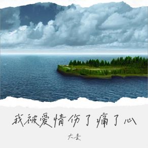 Download track 我被爱情伤了痛了心 (伴奏) 大麦