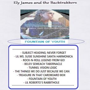 Download track Lil Ms. Susie Sunshine Santa Harmonica The Backtrakkers