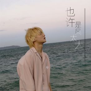 Download track 也许是风太大 胡睿