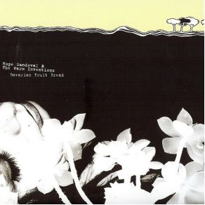 Download track Butterfly Mornings Hope Sandoval, The Warm Inventions