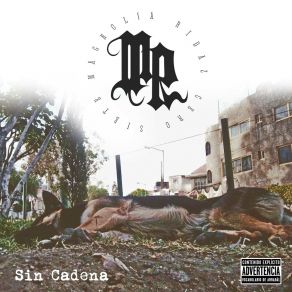 Download track Contigo Es Lo Que Sueno Magnolia Ridaz