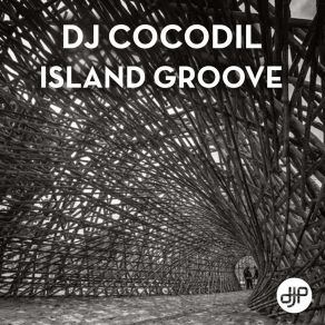 Download track Island Groove Dj Cocodil