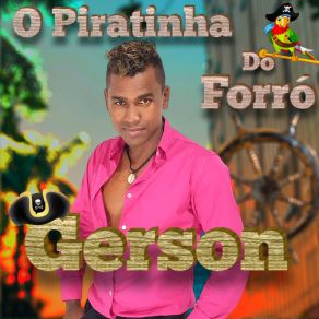 Download track Não Me Xingue Não Gerson O Piratinha Do Forró