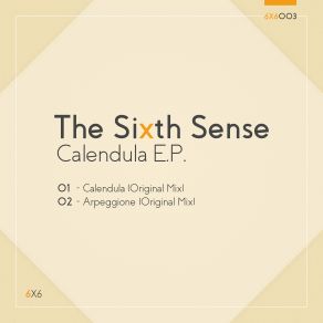 Download track Arpeggione (Original Mix) The Sixth Sense