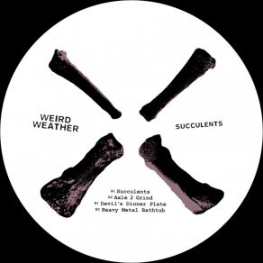 Download track Succulents Weird Weather