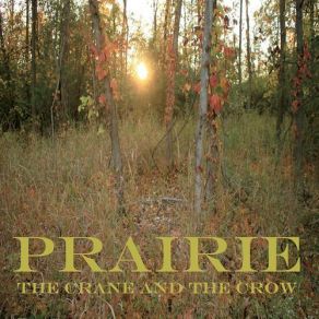 Download track Peperit Virgo The Crane And The Crow