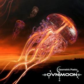 Download track The Arrival Of Love Ovnimoon