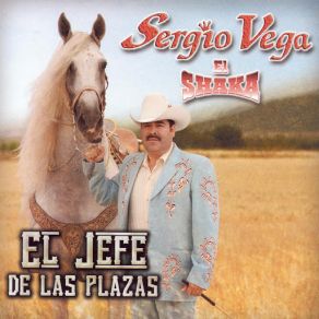 Download track Que Se Mueran Los Feos Sergio Vega