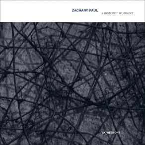 Download track A Person With Feelings Zachary Paul