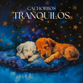 Download track A Well-Stocked Cosmic Nexus Música Para Cachorros