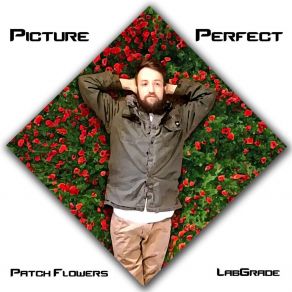 Download track Picture Perfect Lab Grade