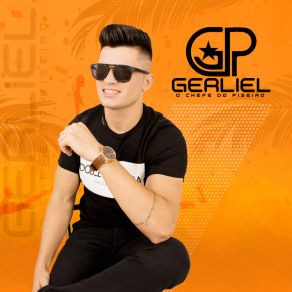 Download track Só Basta Você Me Ligar Gerliel O Chefe Do Piseiro