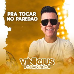 Download track Culpa Da Morena (Ao Vivo) Vinicius O Baixinho