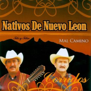 Download track Adolfo Armando Treviño Nativos De Nuevo Leon