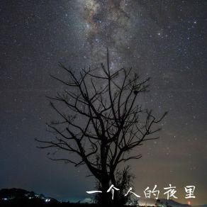 Download track 花言巧语 幻境音乐厂