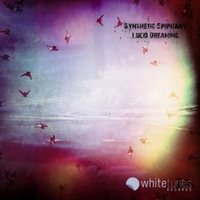 Download track The Skies Limits Vocal Mix Synthetic Epiphany