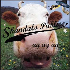 Download track Y'A Des Salops (Et C'Est Pas Cool) Skandalo Publico