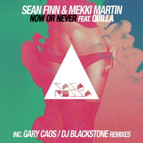 Download track Now Or Never (Gary Caos Remix) Mekki Martin