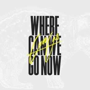 Download track Where Can We Go Now Civet Cat