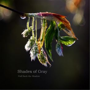 Download track Lost And Found Shades Of Grey