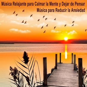 Download track Música Relajante Para Calmar La Mente Y Dejar De Pensar Musica Relajante