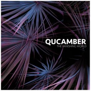 Download track Electronic Vibes (Original Mix) Qucamber