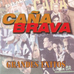 Download track Eres Mentirosa Caña Brava