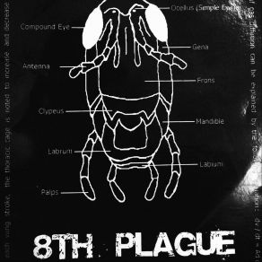 Download track Diluted 8th Plague