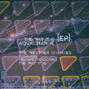 Download track The Way It Is (Fling Mix) Aquagrande