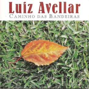 Download track A Terra Vista Luiz Avellar