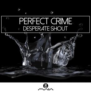 Download track Recuerdo Negro Perfect Crime