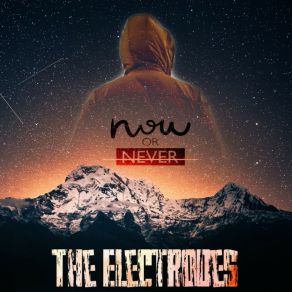 Download track Now Or Never The Electrodes