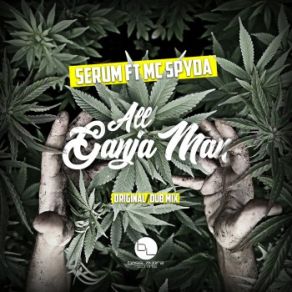 Download track All Ganja Man $ Pyda, Serum