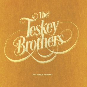 Download track Shiny Moon The Teskey Brothers