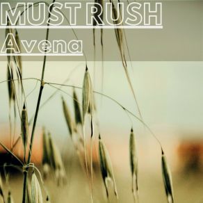 Download track Avena (Extended Mix) Must Rush