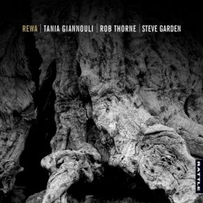 Download track A Forgotten Land - First Light Steve Garden, Rob Thorne, Tania Giannouli